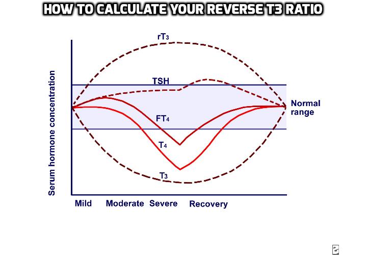 reverse ag ratio