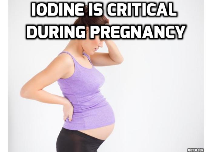 Iodine Is Critical During Pregnancy AntiAging, Beauty, Health