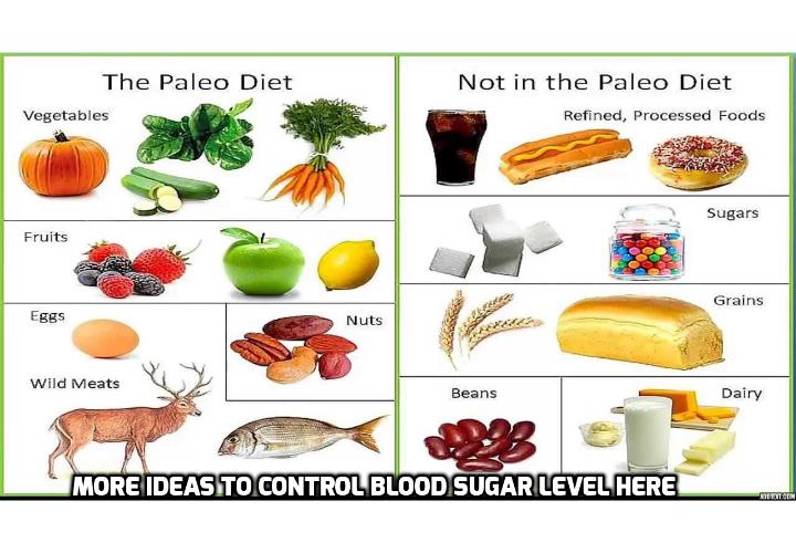 You Can Control Blood Sugar Level with Paleo Diet - Want to control blood sugar level? Go Paleo! Paleo Diet is based on the principle that eating non-packaged and fresh produce, like humans did in the paleolithic age, can help ward off all 21st century health issues such as obesity, diabetes, insulin resistance, heart problems, etc. 