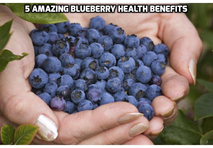 Revealing Here the 5 Amazing Blueberry Health Benefits AntiAging